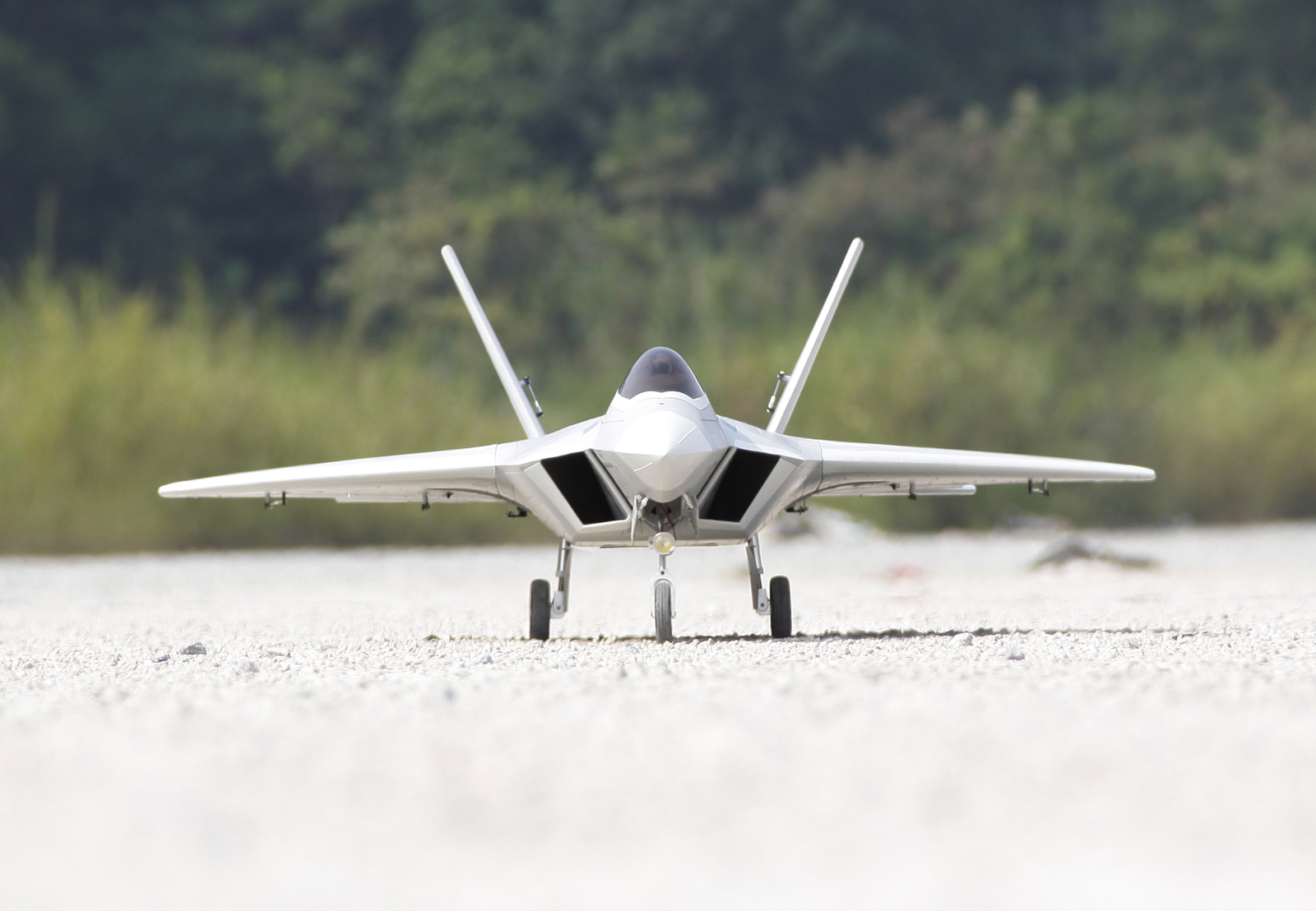 Freewing sales f 22