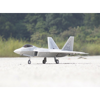 Freewing f 22 cheap