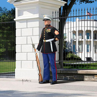 REVELL  US MARINE SERGEANT 1:16
