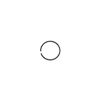 PISTON RING