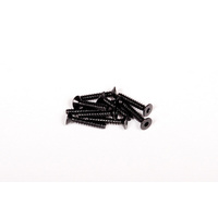 M3x16mm HEX SOCKET TAPPING FLT HEAD 10P*