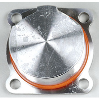 Backplate/ 20x1.4mm O-ring (for engines