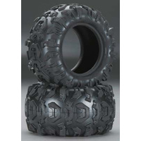 Tires, Canyon AT 2.2 (2)/ foam inserts