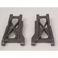 SUSPENSION ARMS (REAR) (2) 2555