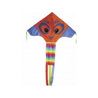 BIG BRIGHT EYES SINGLE LINE KITE
