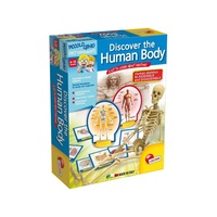 DISCOVER THE HUMAN BODY AAC050147