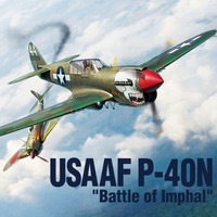 ACADEMY 12341 USAAF P-40N WARHAWK ''BATTLE OF IMPHAL'' PLASTIC MODEL KIT