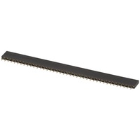 40 Pin Female Header Strip