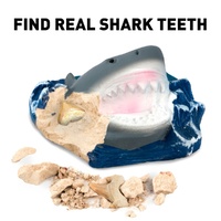 Science Kit - Shark Tooth Dig