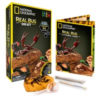 Science Kit - Bug Excavation Kit