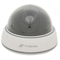 Dummy Dome Camera Kit with Flashing Sign