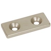 Rare Earth Magnet 50 x 20mm
