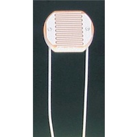 Large Light Dependent Resistor (LDR)
