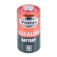 6 Volt Alkaline Battery