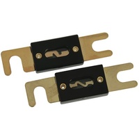 Gold ANL Wafer Fuse 200A