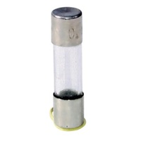 100mA M205 Quick Blow Fuse