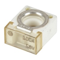 Battery Terminal Fuse 100A