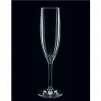 Strahl Polycarbonate Champagne Flute 166mL