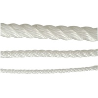 Standard Quality Polyethylene Staple (Silver Ropes) - 6mm Three Strand 100MTR LTH