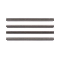 #TC5 Inner Hinge Pin Set ASS31221
