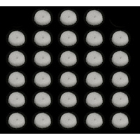 Ballstud Dust Cover, foam