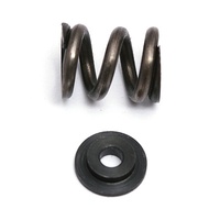 B4/T4 Slipper Spring & Washer