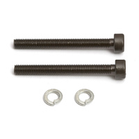 Manifold Screws 3mm w/lockwash