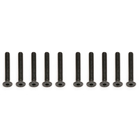 M3 X 22MM FHCS