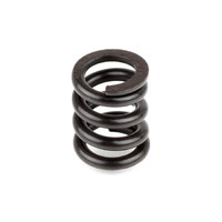 B44 Slipper Spring