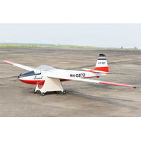 LF-107 Lunak EP, 6000mm wingspan