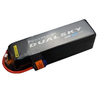 Dualsky 5900mah 6S HED Lipo Battery, 45C