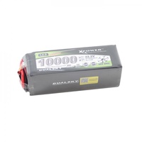 Dualsky 10000mAh 6S LiPO Suit UAV, 20C