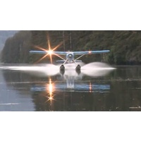 EDR-117C H9 BEAVER LITESYS COMPLETE SYSTEM FOR GIANT-SCALE DHC-2 BEAVER