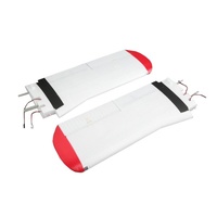 Wing set with lights Brave