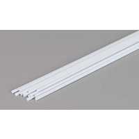 STYR,STRIPS, .040x.080x24(15)