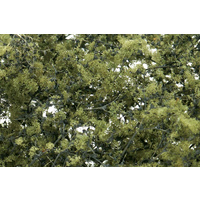 OLIVE GREEN FINE LEAF FOLIAGE F1133