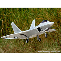 Freewing F-22 Raptor Ultra Performance 90mm EDF Jet Arf plus Servo RC