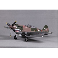 FMS P-40B 980mm Flying Tiger PNP FMS075P