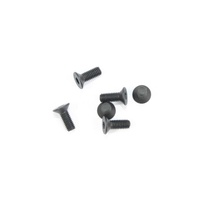 Flat Head Hex Screw M3x8 (6)