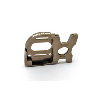 Cnc Alum Motor Plate 10SC EP