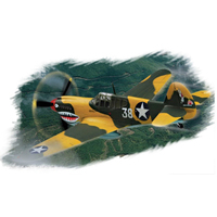 HobbyBoss 1/72 P-40E "Kitty hawk" Plastic Model Kit [80250]