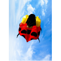 Inflatable Ladybird KITE 