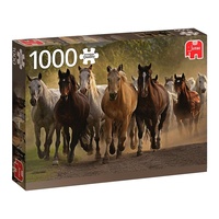 TEAM OF HORSES 1000 PCS JUM18541