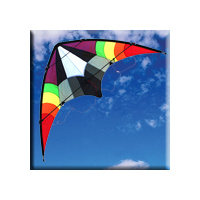 IKON SPORTS KITE 1.6MTR WING 10YRS UP