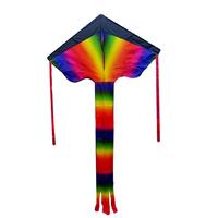 Large Rainbow KITE
