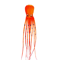 HIGH AS A KITE OCTOPUS 