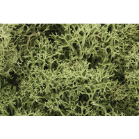 WOODLAND SCENICS SPRING GREEN LICHEN L161
