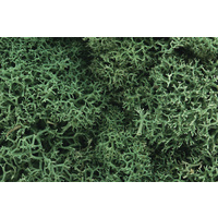 WOODLAND SCENIC LIGHT GREEN LICHEN L162