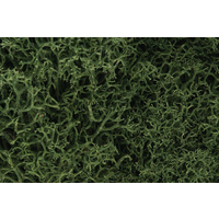 WOODLAND SCENICS MEDIUM GREEN LICHEN L163