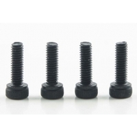 Back Plate Screws 21/22